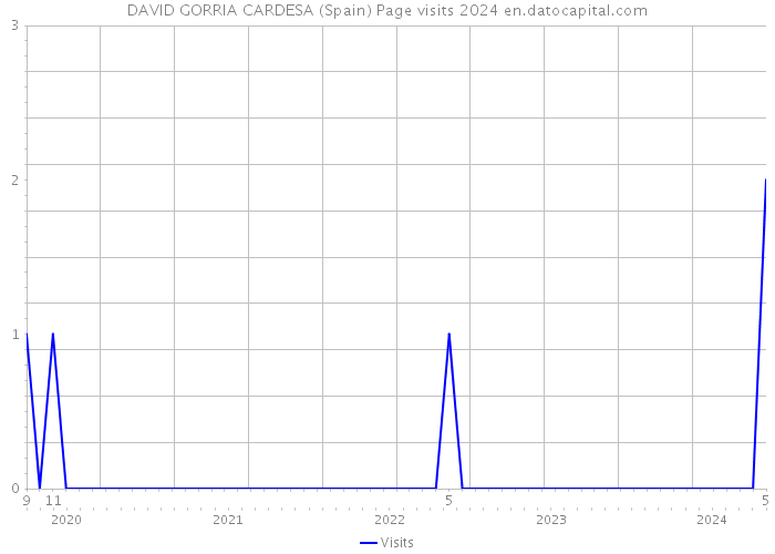 DAVID GORRIA CARDESA (Spain) Page visits 2024 
