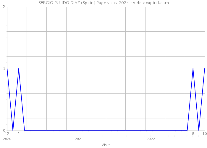 SERGIO PULIDO DIAZ (Spain) Page visits 2024 