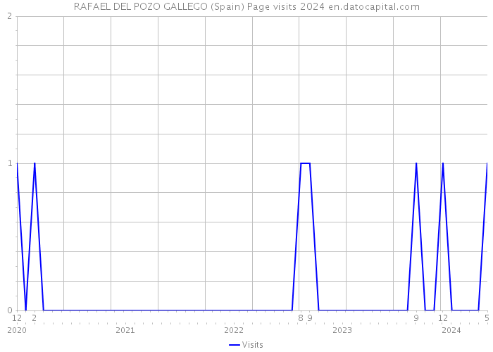 RAFAEL DEL POZO GALLEGO (Spain) Page visits 2024 