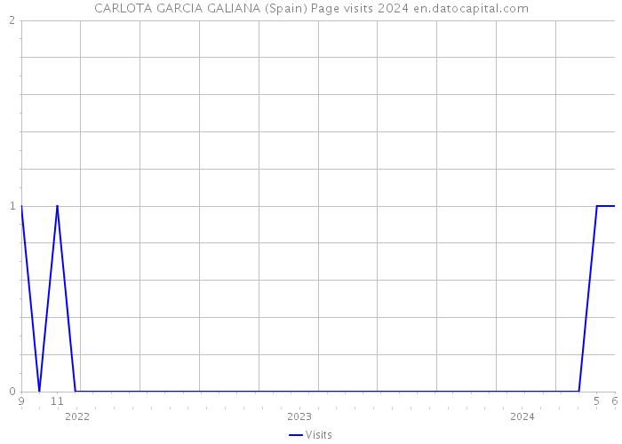 CARLOTA GARCIA GALIANA (Spain) Page visits 2024 