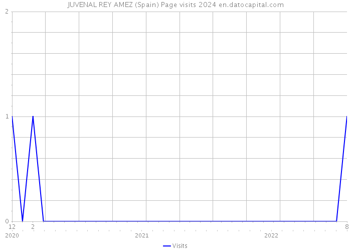 JUVENAL REY AMEZ (Spain) Page visits 2024 