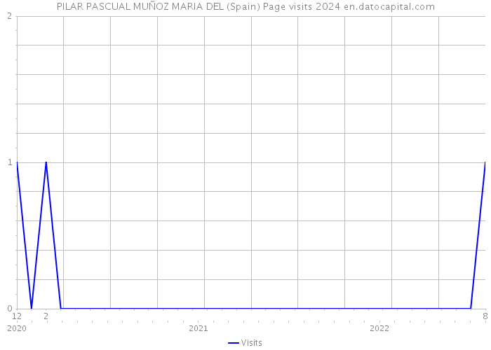 PILAR PASCUAL MUÑOZ MARIA DEL (Spain) Page visits 2024 