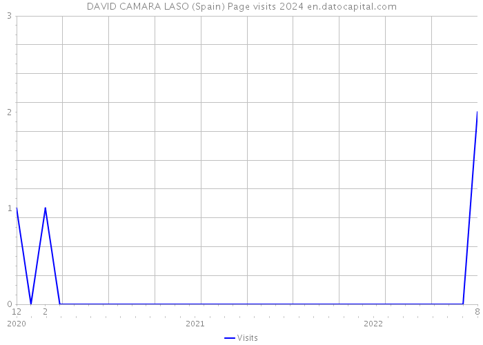 DAVID CAMARA LASO (Spain) Page visits 2024 