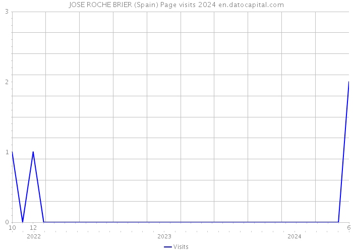 JOSE ROCHE BRIER (Spain) Page visits 2024 