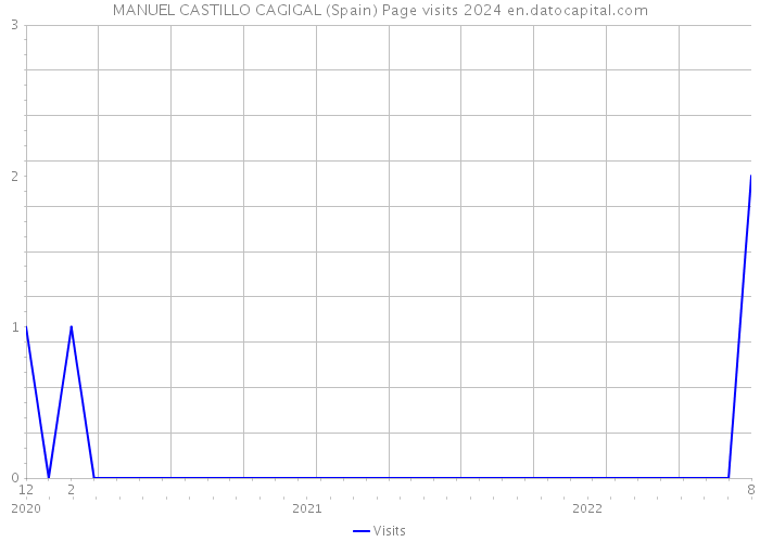 MANUEL CASTILLO CAGIGAL (Spain) Page visits 2024 