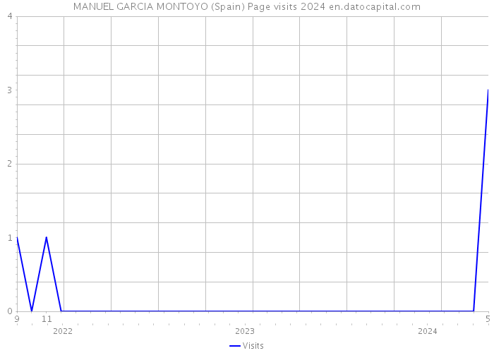 MANUEL GARCIA MONTOYO (Spain) Page visits 2024 