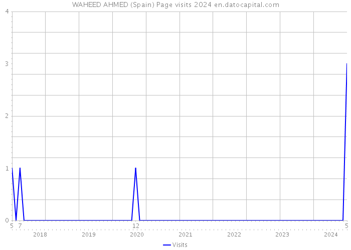 WAHEED AHMED (Spain) Page visits 2024 