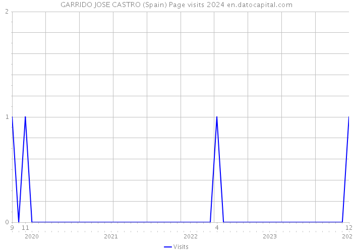 GARRIDO JOSE CASTRO (Spain) Page visits 2024 