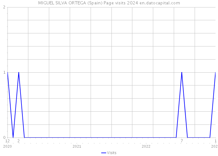 MIGUEL SILVA ORTEGA (Spain) Page visits 2024 