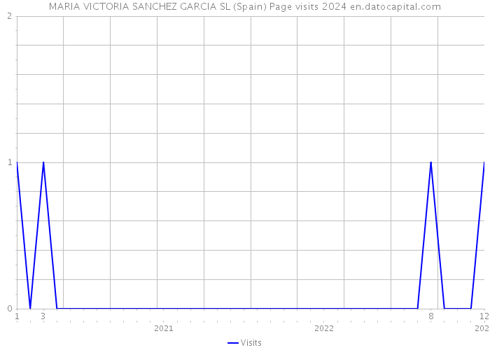 MARIA VICTORIA SANCHEZ GARCIA SL (Spain) Page visits 2024 