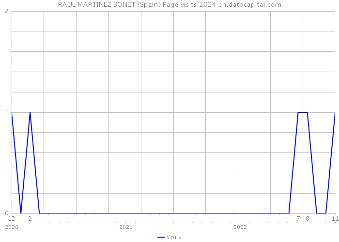 RAUL MARTINEZ BONET (Spain) Page visits 2024 