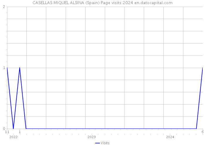 CASELLAS MIQUEL ALSINA (Spain) Page visits 2024 
