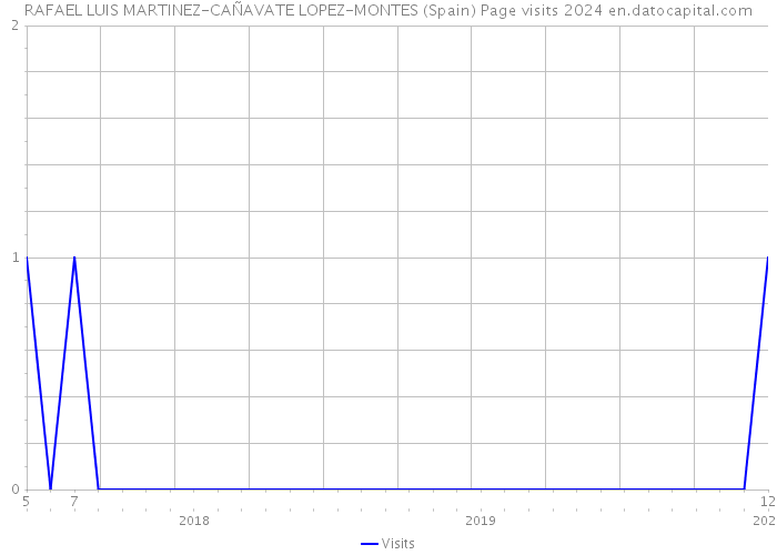 RAFAEL LUIS MARTINEZ-CAÑAVATE LOPEZ-MONTES (Spain) Page visits 2024 