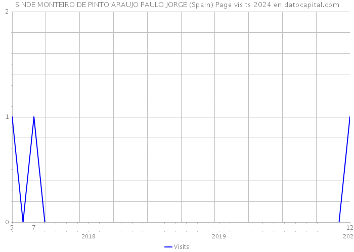 SINDE MONTEIRO DE PINTO ARAUJO PAULO JORGE (Spain) Page visits 2024 