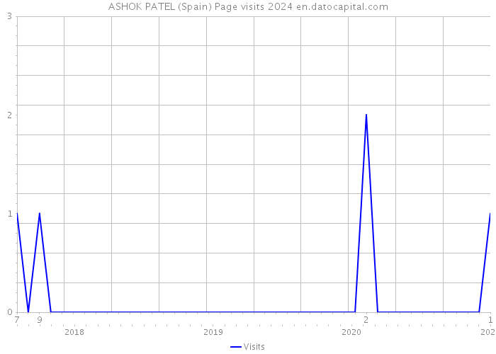 ASHOK PATEL (Spain) Page visits 2024 