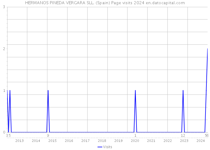 HERMANOS PINEDA VERGARA SLL. (Spain) Page visits 2024 