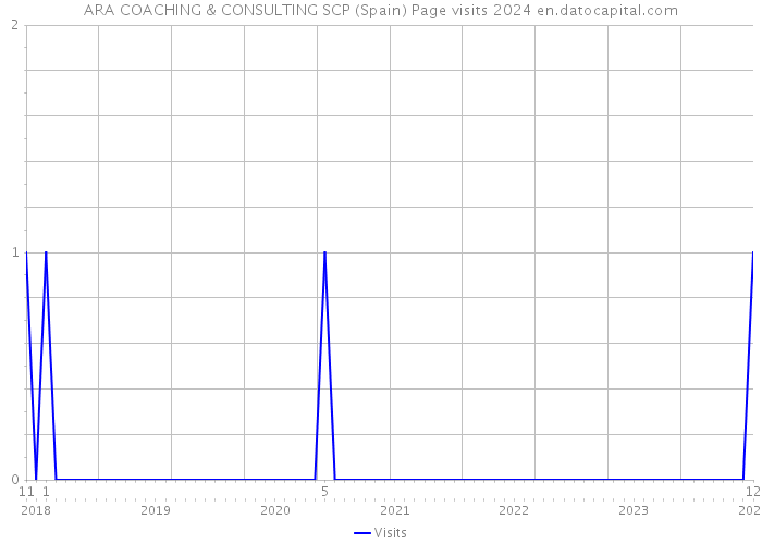 ARA COACHING & CONSULTING SCP (Spain) Page visits 2024 