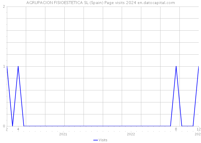 AGRUPACION FISIOESTETICA SL (Spain) Page visits 2024 