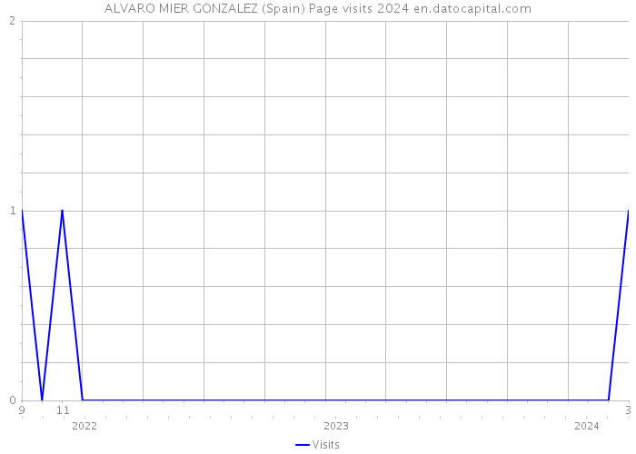 ALVARO MIER GONZALEZ (Spain) Page visits 2024 