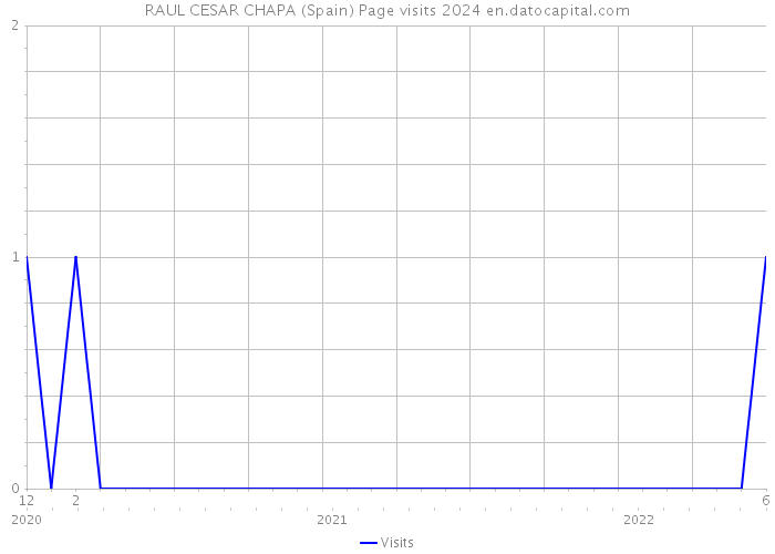 RAUL CESAR CHAPA (Spain) Page visits 2024 