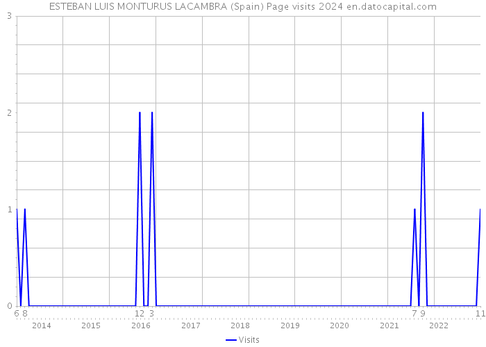 ESTEBAN LUIS MONTURUS LACAMBRA (Spain) Page visits 2024 