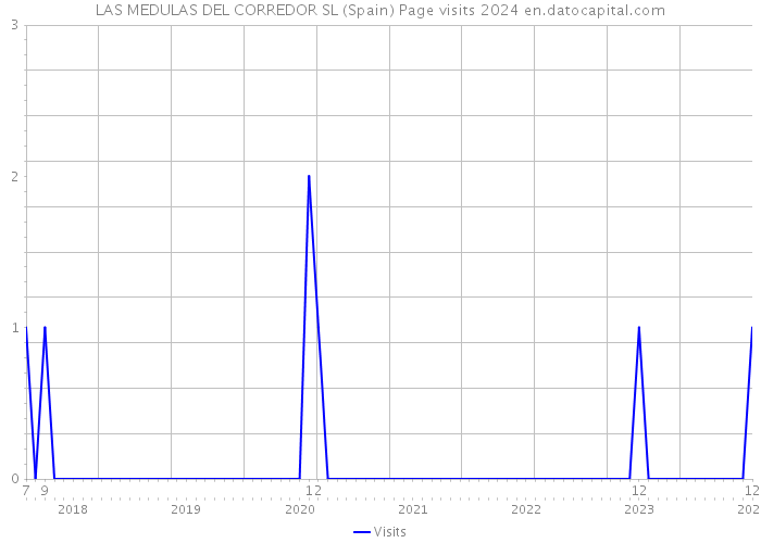 LAS MEDULAS DEL CORREDOR SL (Spain) Page visits 2024 