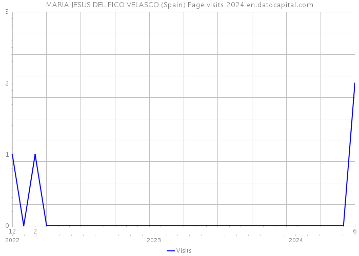 MARIA JESUS DEL PICO VELASCO (Spain) Page visits 2024 