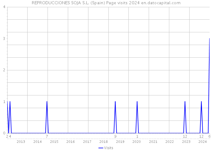 REPRODUCCIONES SOJA S.L. (Spain) Page visits 2024 