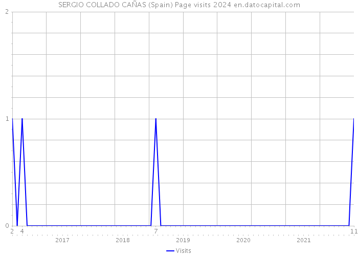 SERGIO COLLADO CAÑAS (Spain) Page visits 2024 
