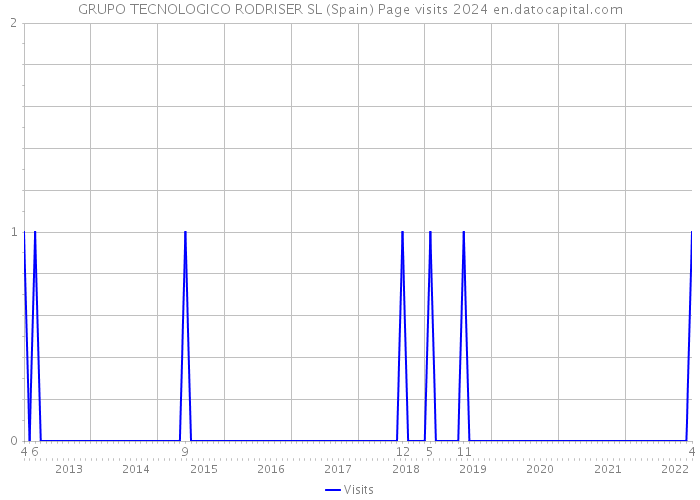 GRUPO TECNOLOGICO RODRISER SL (Spain) Page visits 2024 