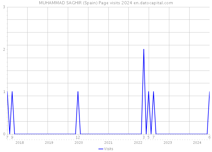 MUHAMMAD SAGHIR (Spain) Page visits 2024 