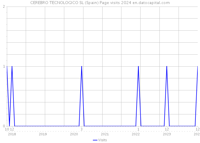 CEREBRO TECNOLOGICO SL (Spain) Page visits 2024 