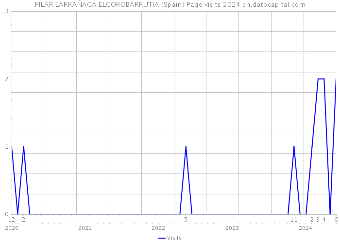 PILAR LARRAÑAGA ELCOROBARRUTIA (Spain) Page visits 2024 