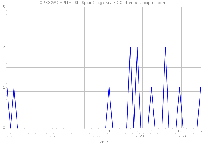 TOP COW CAPITAL SL (Spain) Page visits 2024 