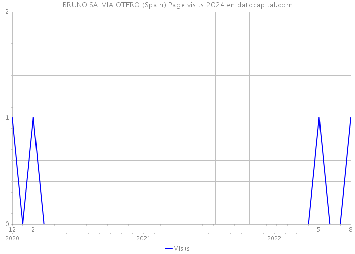 BRUNO SALVIA OTERO (Spain) Page visits 2024 