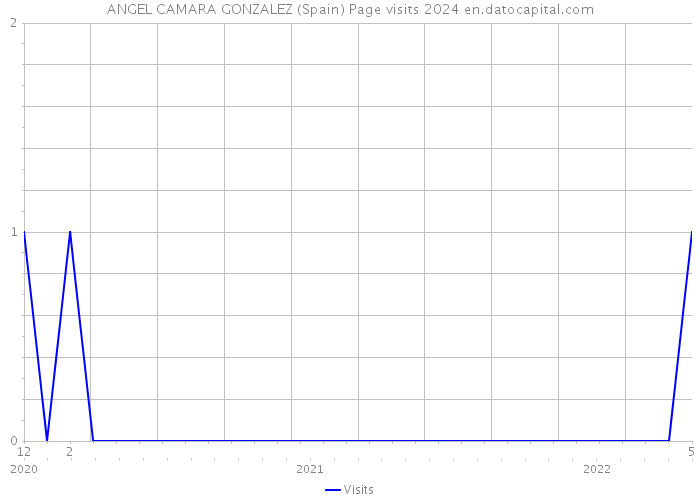 ANGEL CAMARA GONZALEZ (Spain) Page visits 2024 