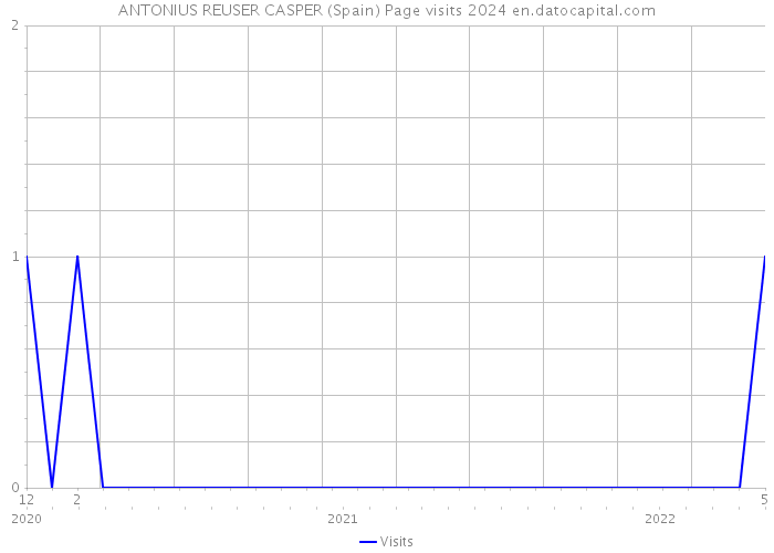 ANTONIUS REUSER CASPER (Spain) Page visits 2024 