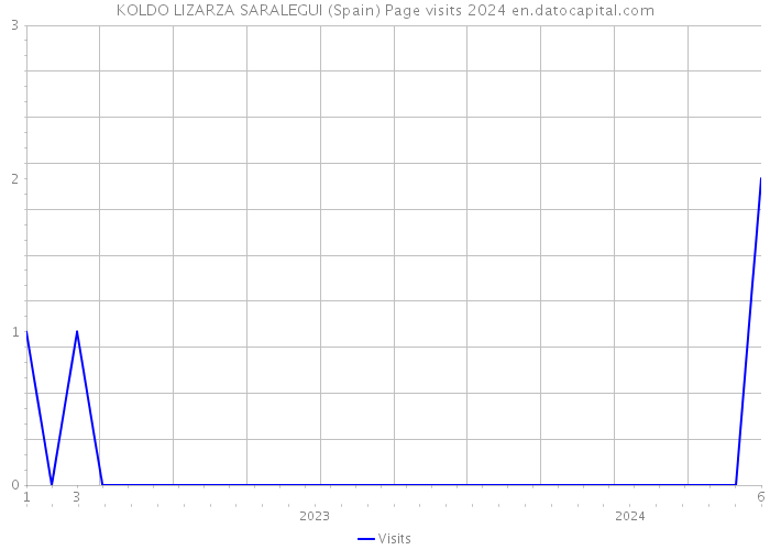 KOLDO LIZARZA SARALEGUI (Spain) Page visits 2024 