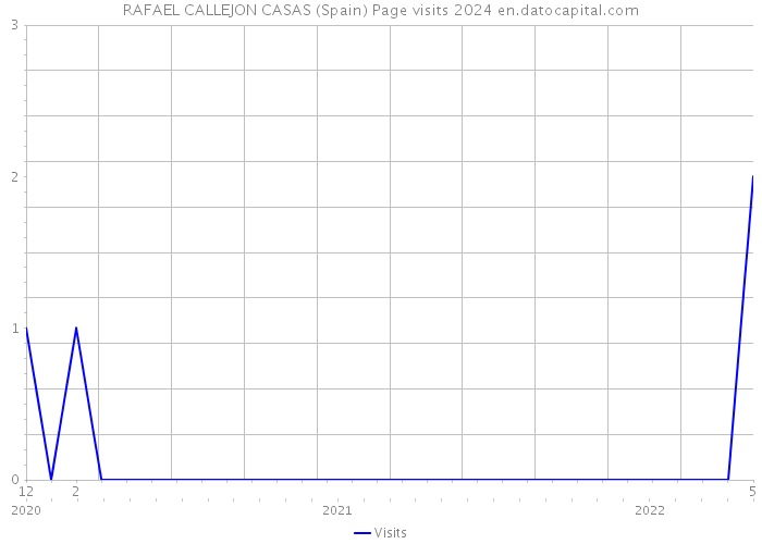RAFAEL CALLEJON CASAS (Spain) Page visits 2024 