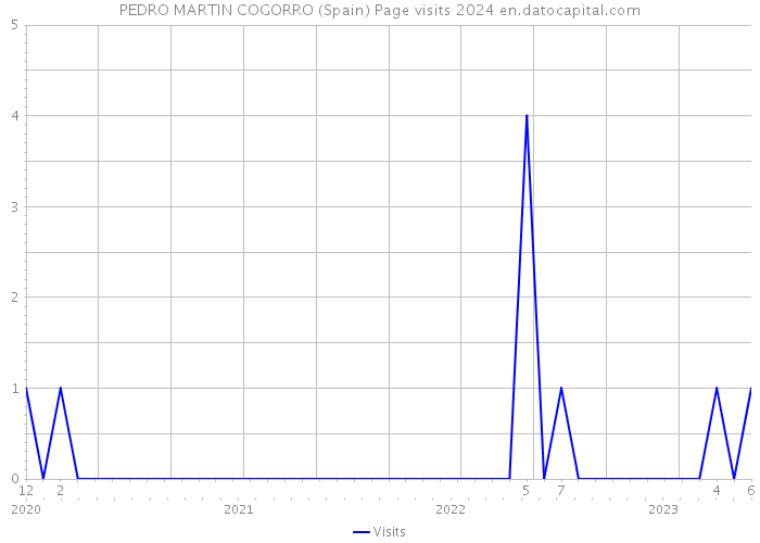 PEDRO MARTIN COGORRO (Spain) Page visits 2024 