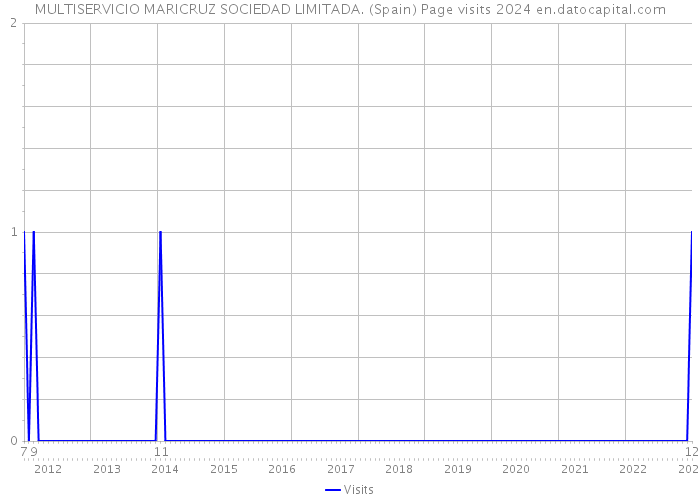 MULTISERVICIO MARICRUZ SOCIEDAD LIMITADA. (Spain) Page visits 2024 