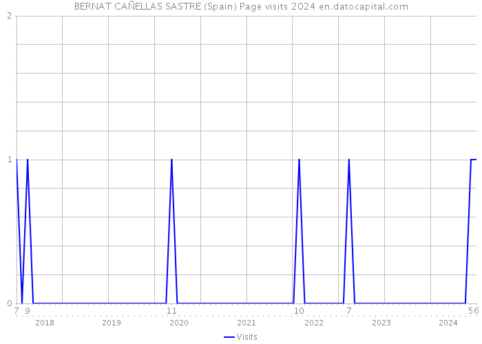 BERNAT CAÑELLAS SASTRE (Spain) Page visits 2024 