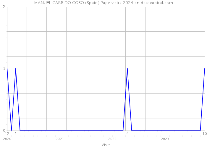 MANUEL GARRIDO COBO (Spain) Page visits 2024 