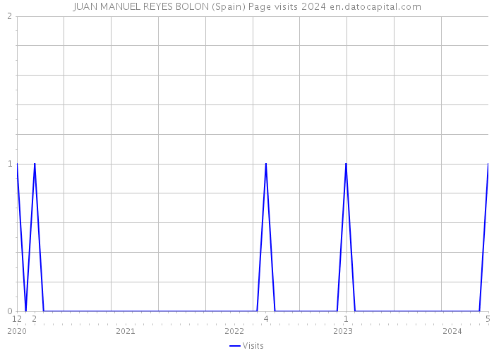 JUAN MANUEL REYES BOLON (Spain) Page visits 2024 