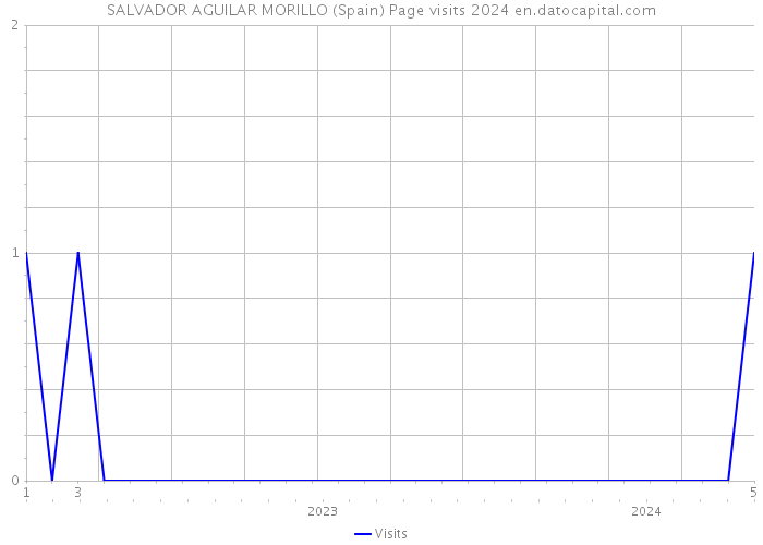 SALVADOR AGUILAR MORILLO (Spain) Page visits 2024 