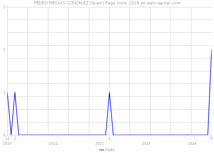 PEDRO MEGIAS GONZALEZ (Spain) Page visits 2024 