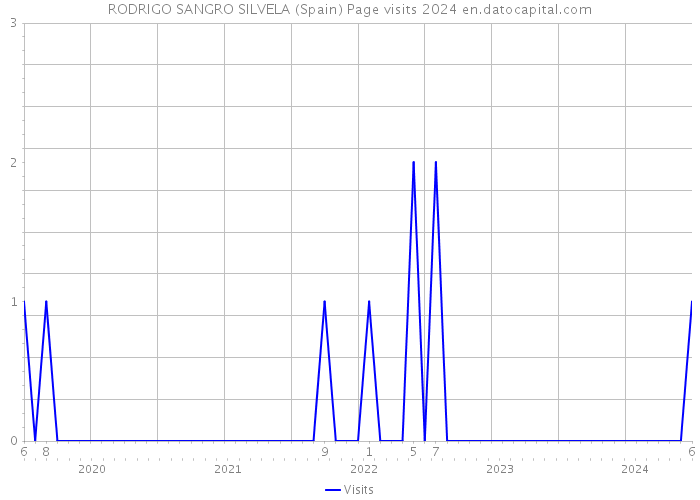 RODRIGO SANGRO SILVELA (Spain) Page visits 2024 