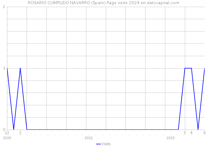 ROSARIO CUMPLIDO NAVARRO (Spain) Page visits 2024 