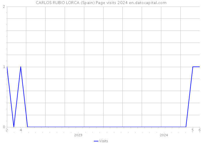 CARLOS RUBIO LORCA (Spain) Page visits 2024 