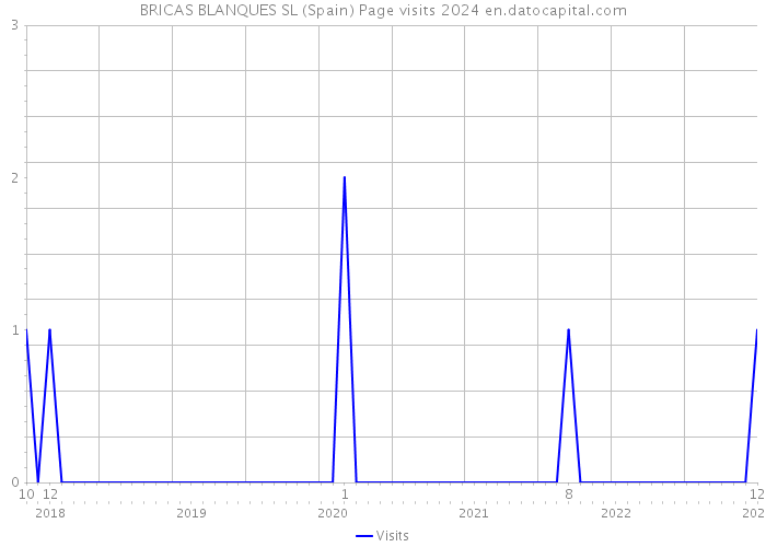 BRICAS BLANQUES SL (Spain) Page visits 2024 